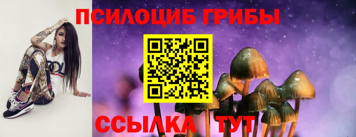 Щёкино  Галлюциногенные грибы Cubensis  Вход с VPN 